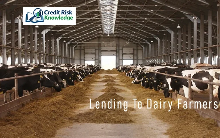 Lending to suckler cow farmers